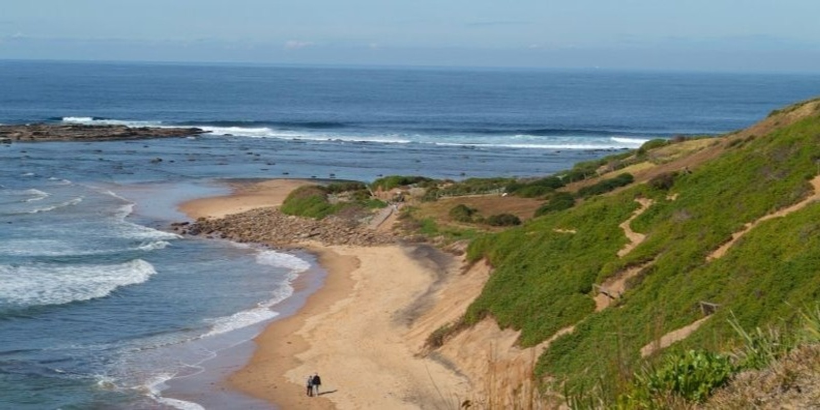 Banner image for Walk & Talk: Aboriginal Heritage & Culture 