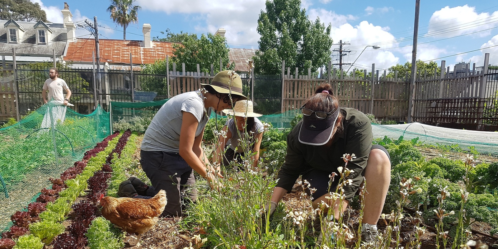 Banner image for Collaborating on Regenerative Solutions with Pocket City Farms