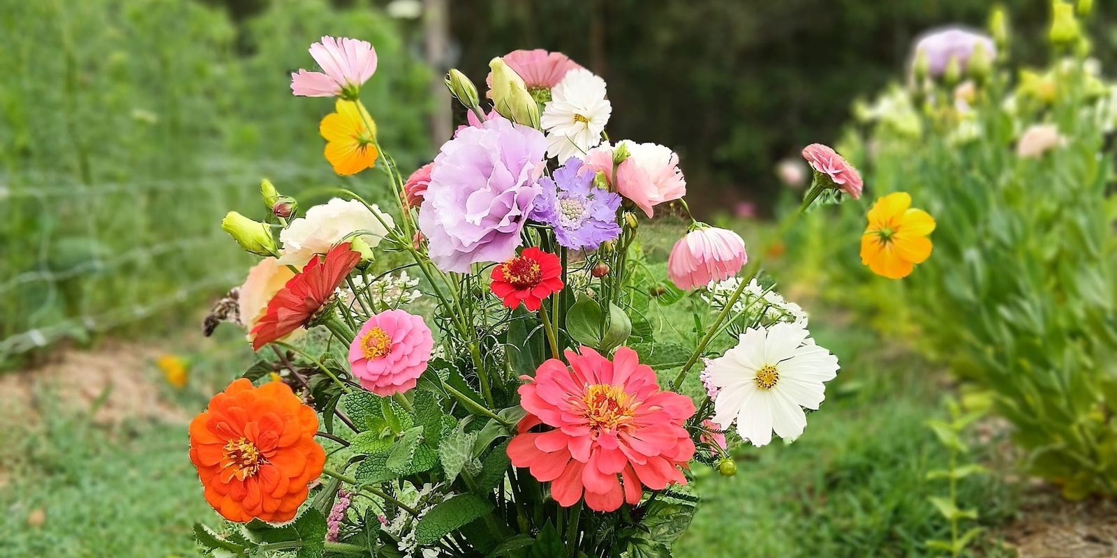 Banner image for Flower Picking Session - December 8th