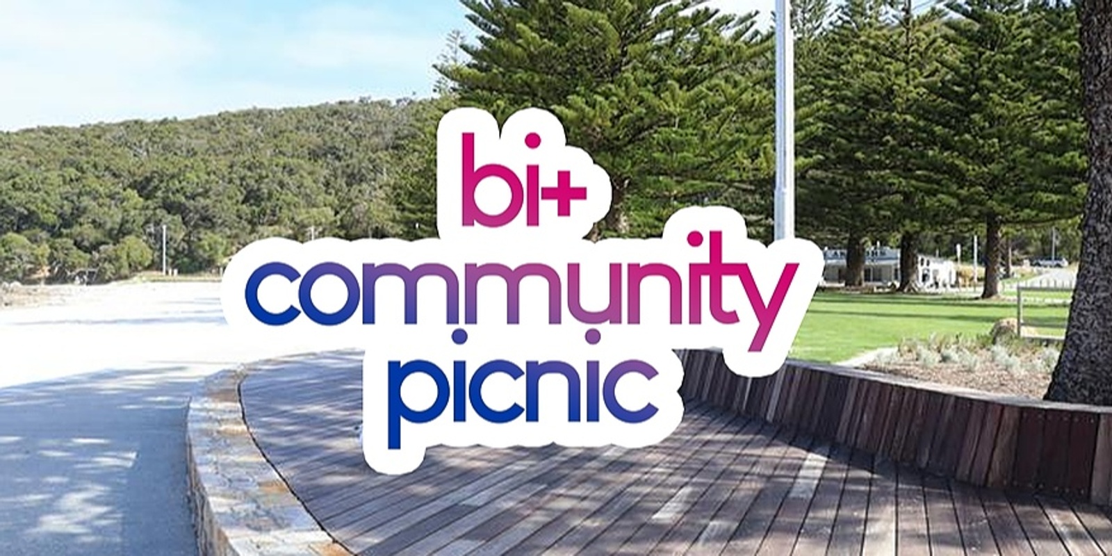 Banner image for Bi+ Picnic