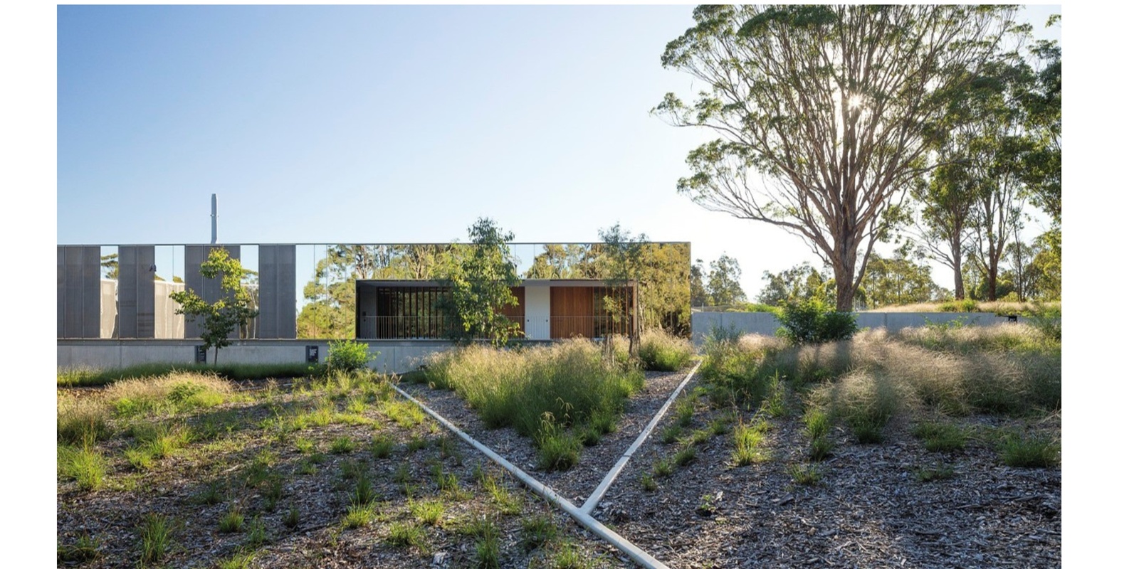 Banner image for Australian Botanic Garden Mount Annan - Plant Bank Walking tour 