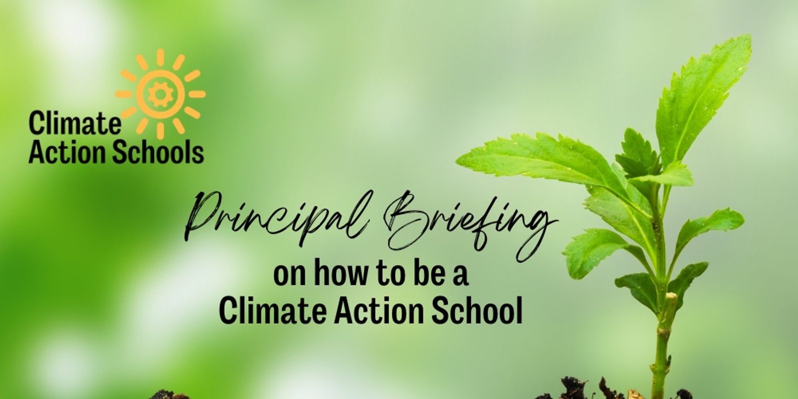 Banner image for How to become a "Climate Action School" Principal/Leadership Briefing