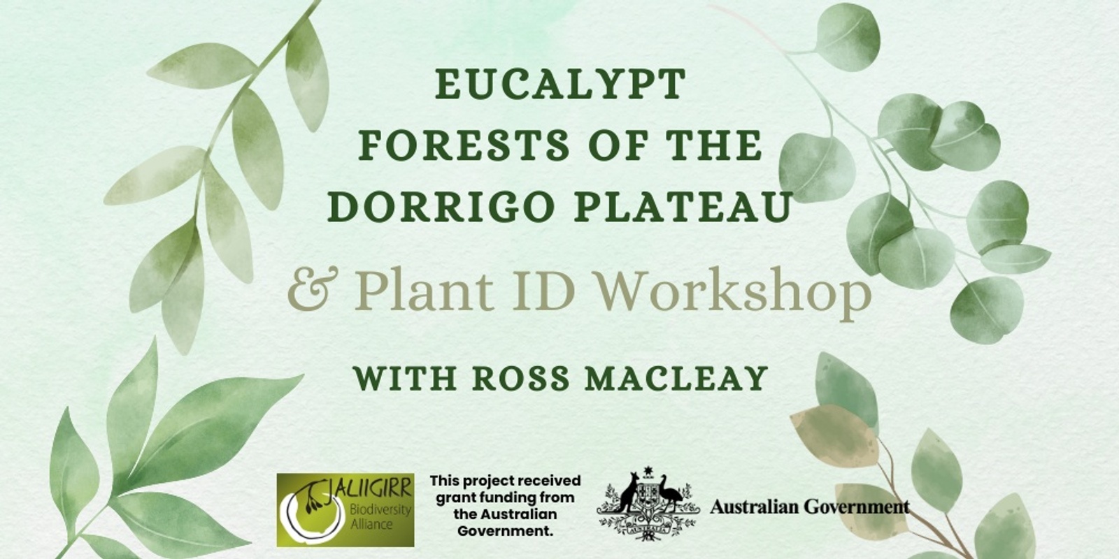 Banner image for Eucalypt Forests of the Dorrigo Plateau