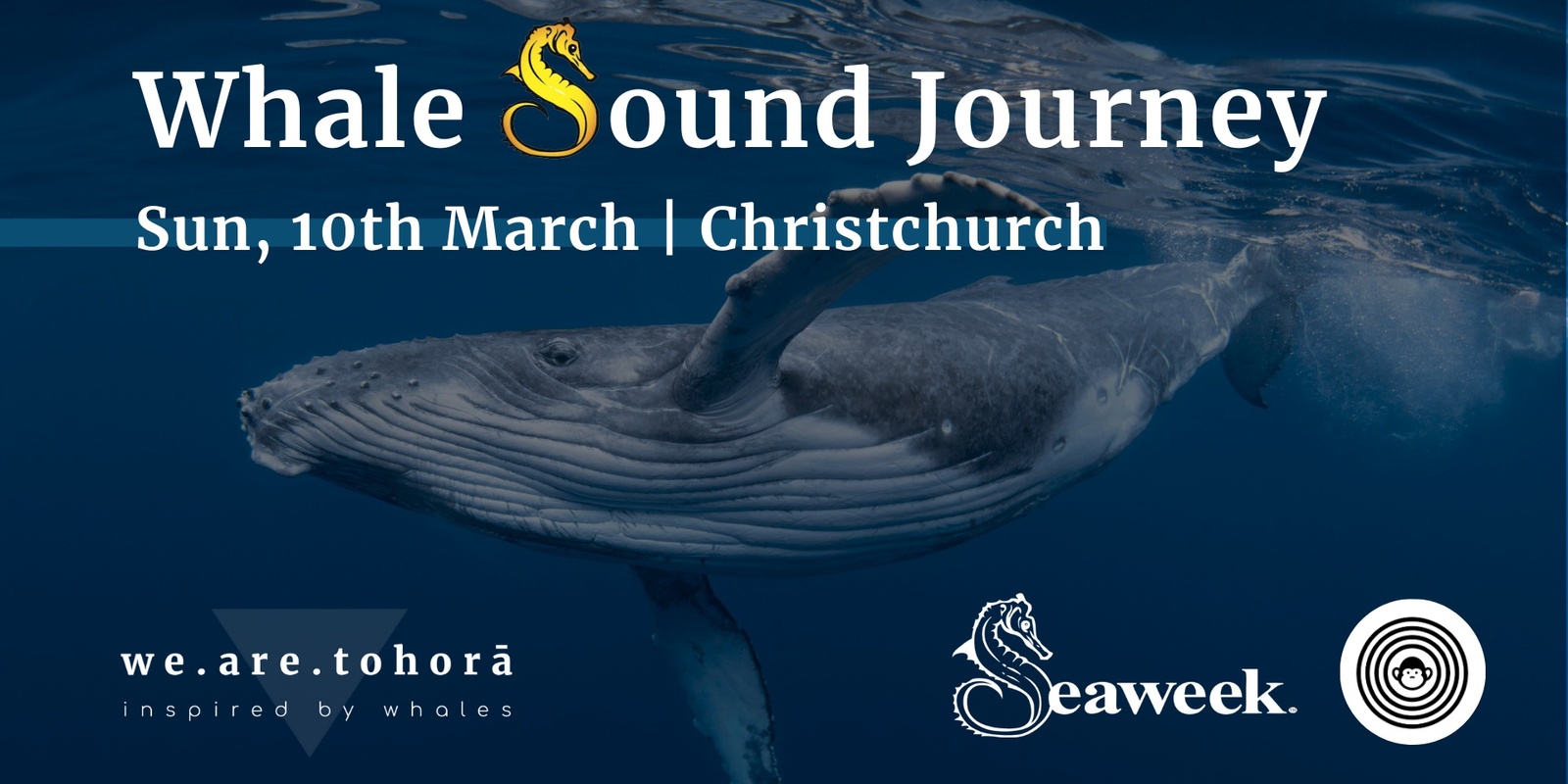 Banner image for NZ SeaWeek: Whale Sound Journey