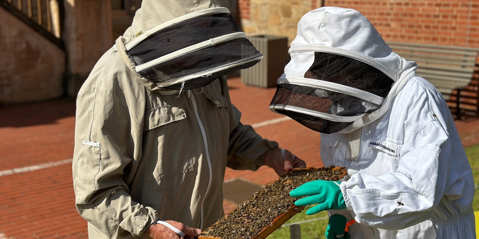 Banner image for April School Holiday Workshop | Beehive Hangs at the Museum (Ages 8-12)