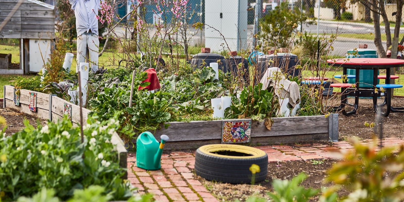 Banner image for Health and Sustainability in Special Developmental Schools