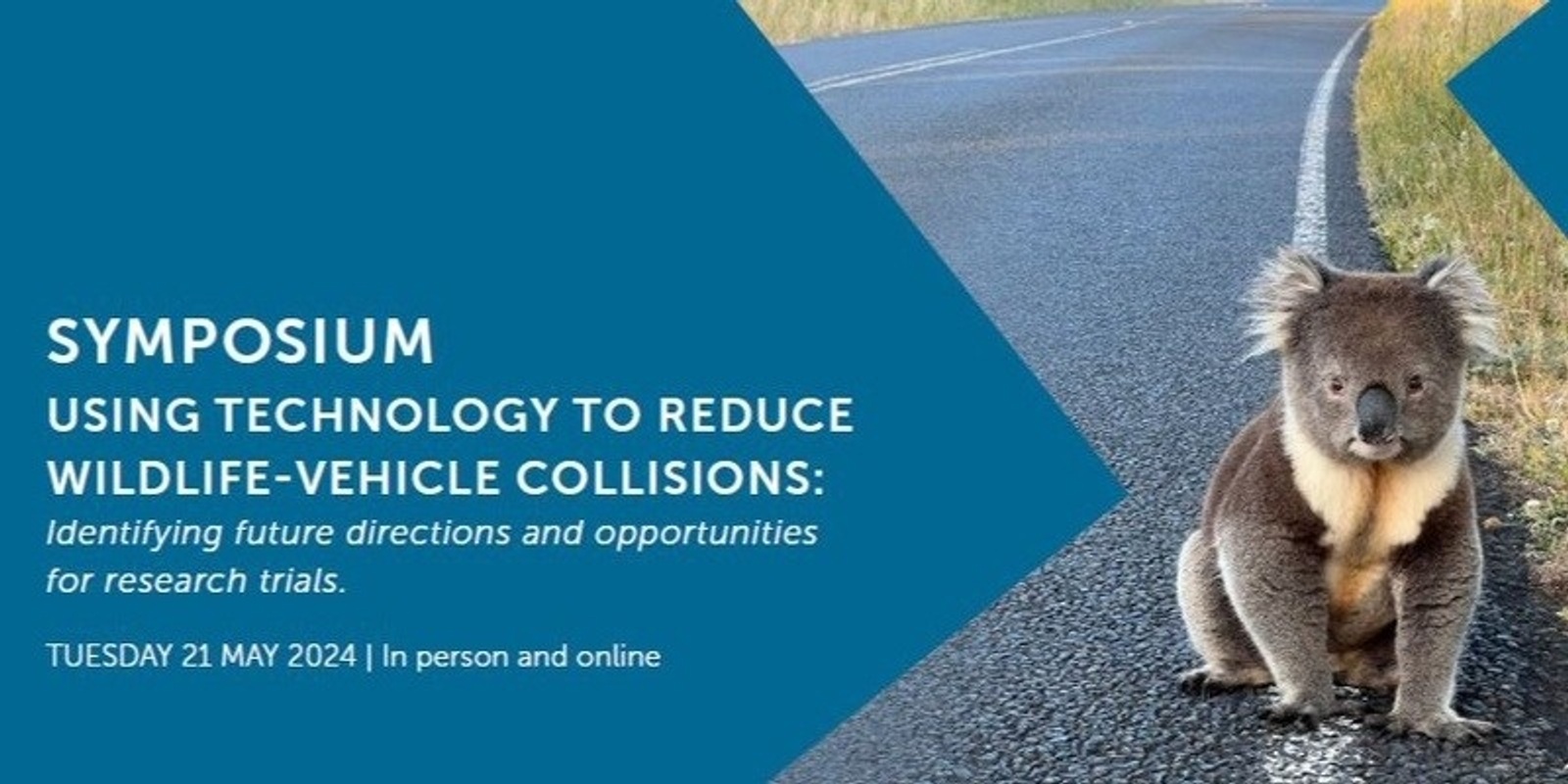 Banner image for Using Technology to Prevent Vehicle-Wildlife Collisions 