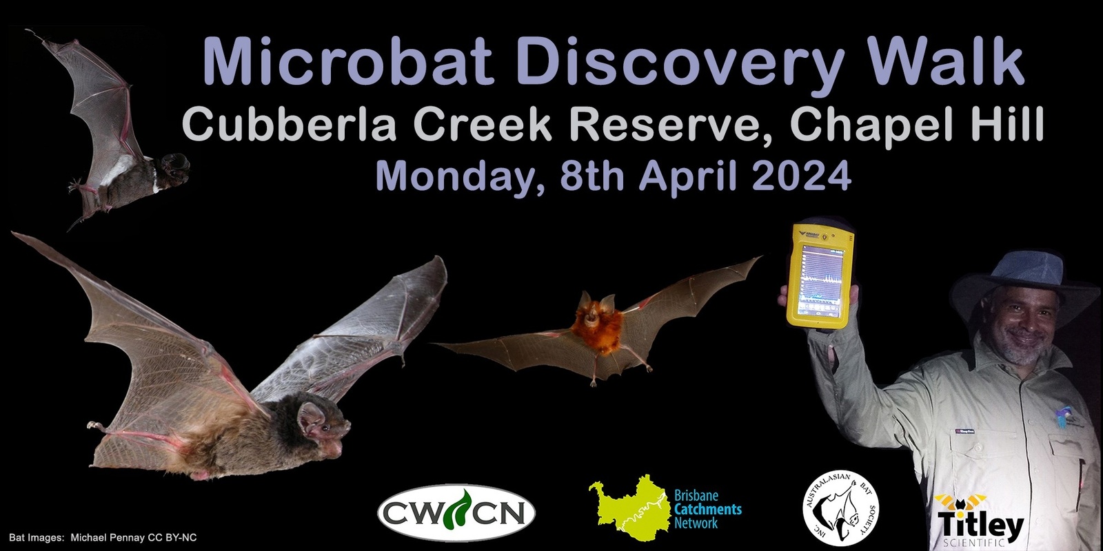 Banner image for Microbat Discovery Walk, Cubberla Creek Reserve