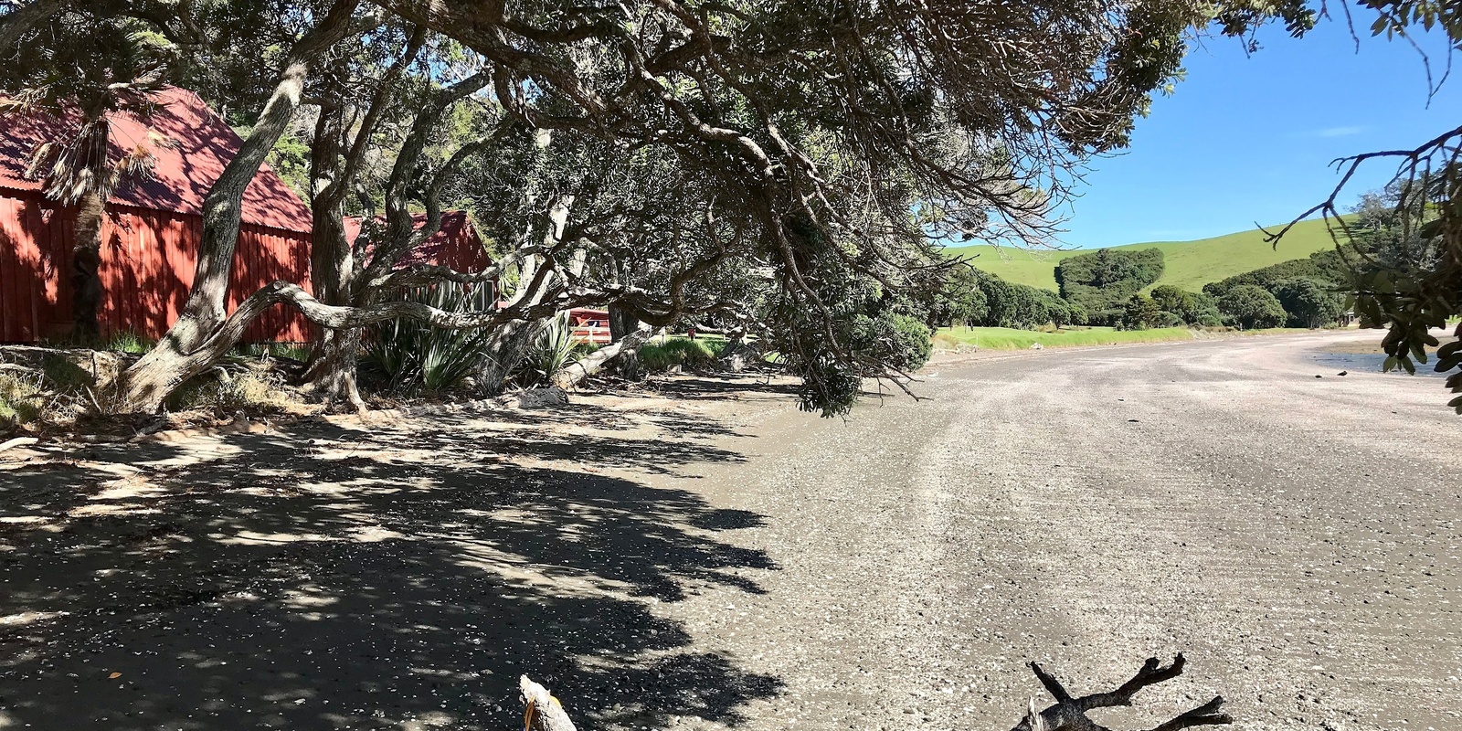 Banner image for Kawau Bay Foreshore Fandango