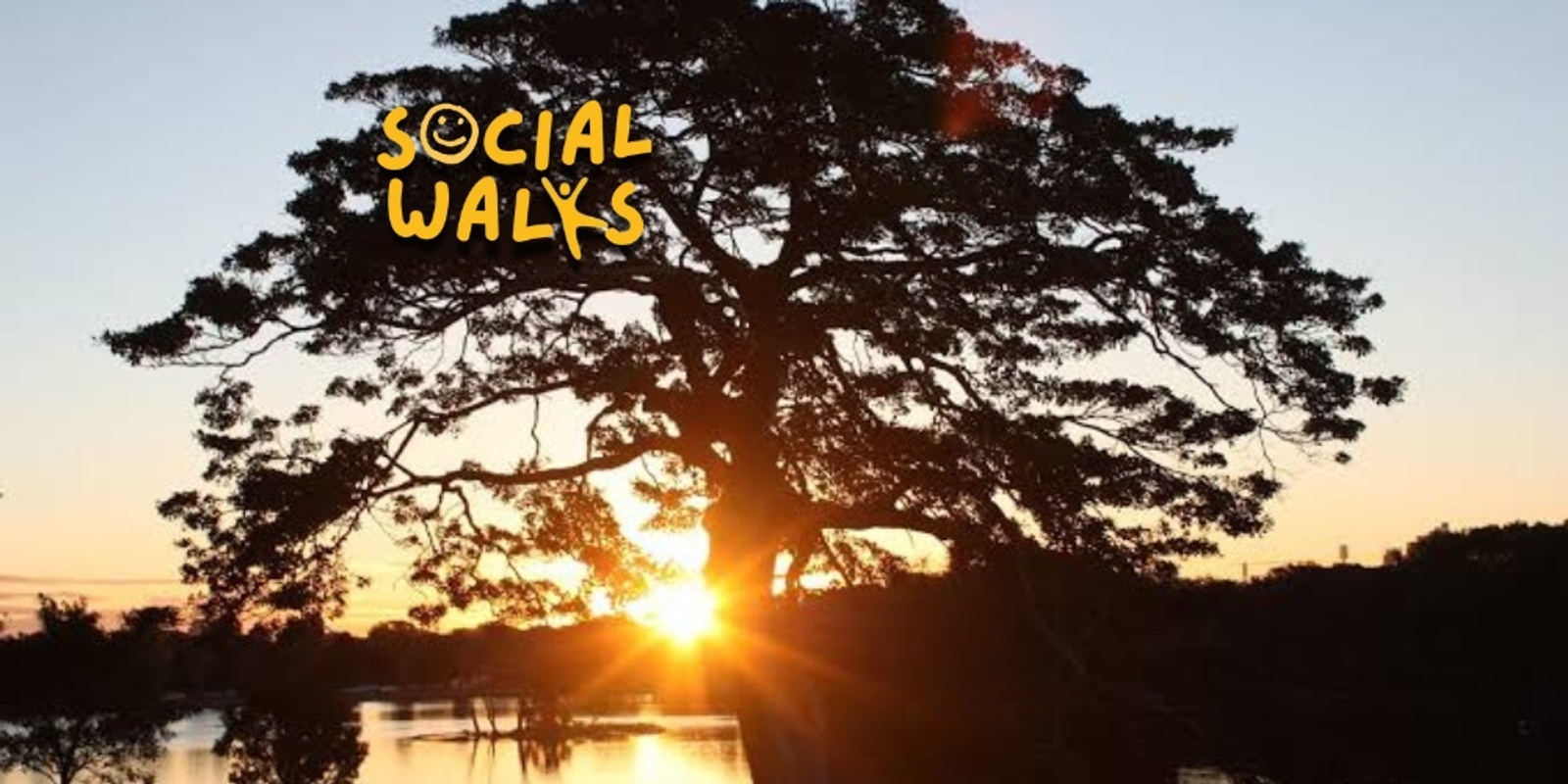 Banner image for Sydney Social Walks - SUNRISE at Centennial Park Sydney - 6km EASY