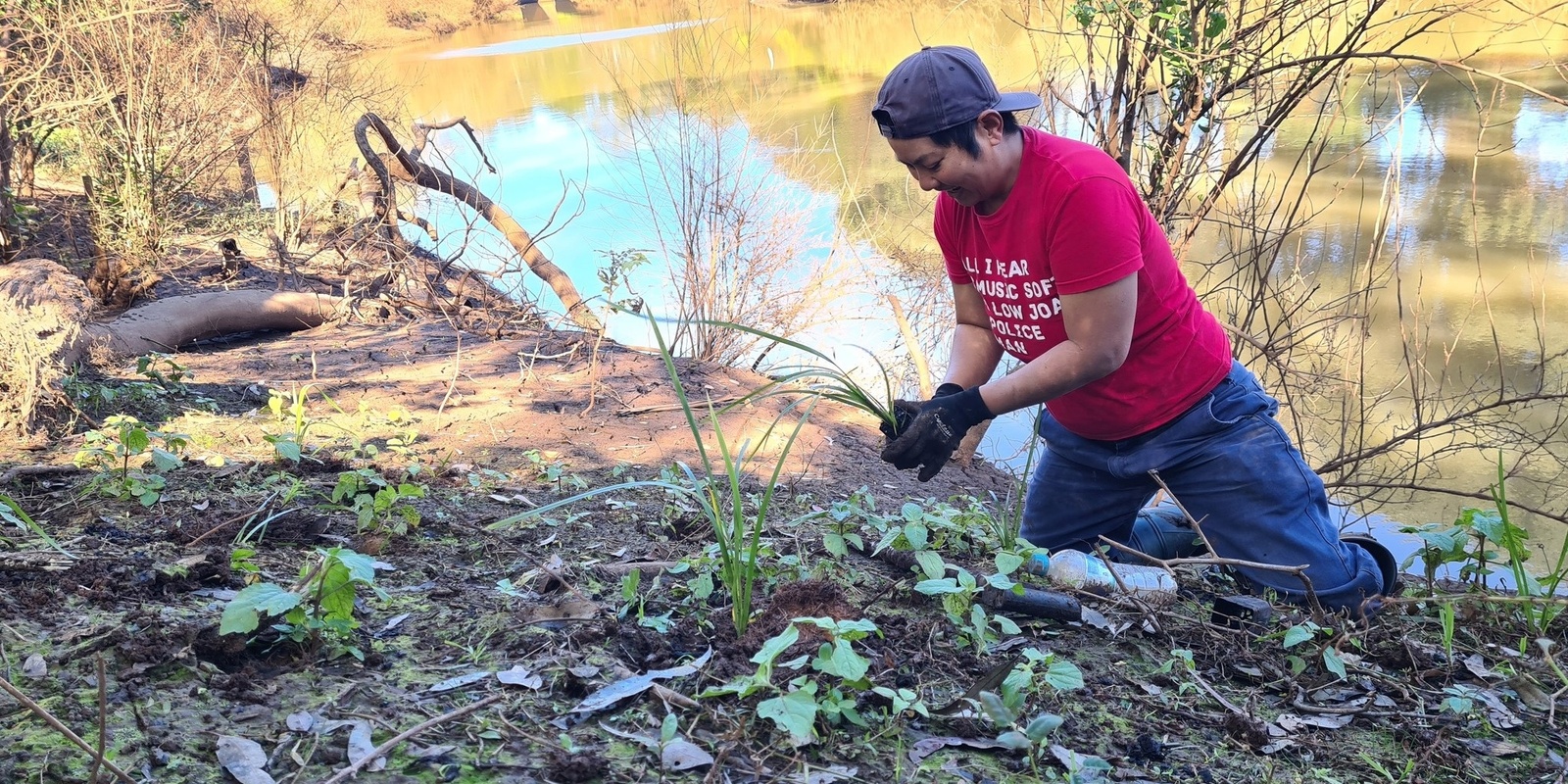 Banner image for Wilsons River - Community Tree Planting