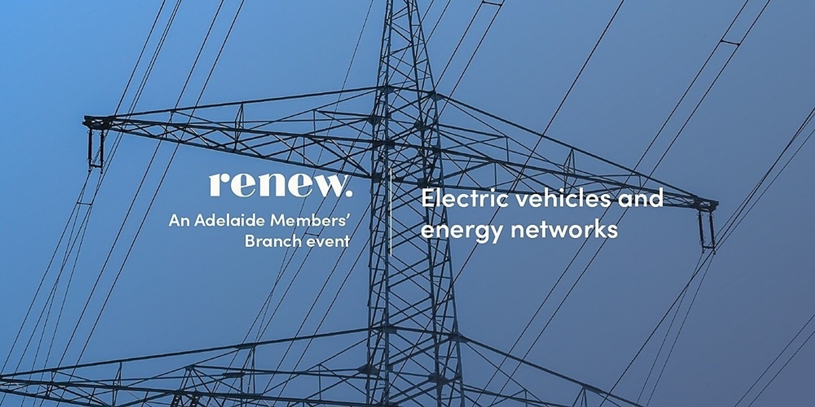 Banner image for Electric vehicles and energy networks