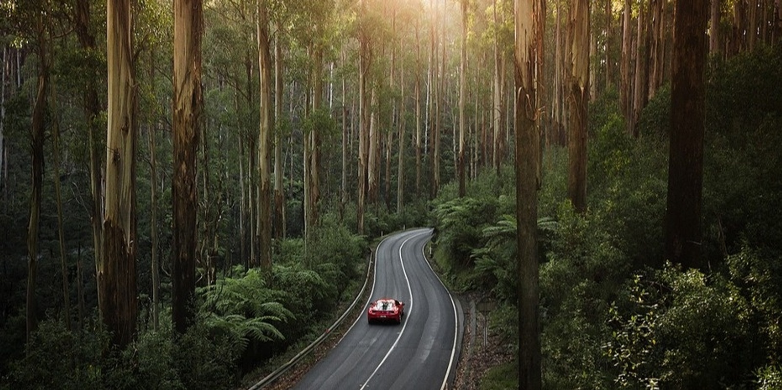 Banner image for Luxury Driving Experience - Yarra Valley, Victoria (2024)