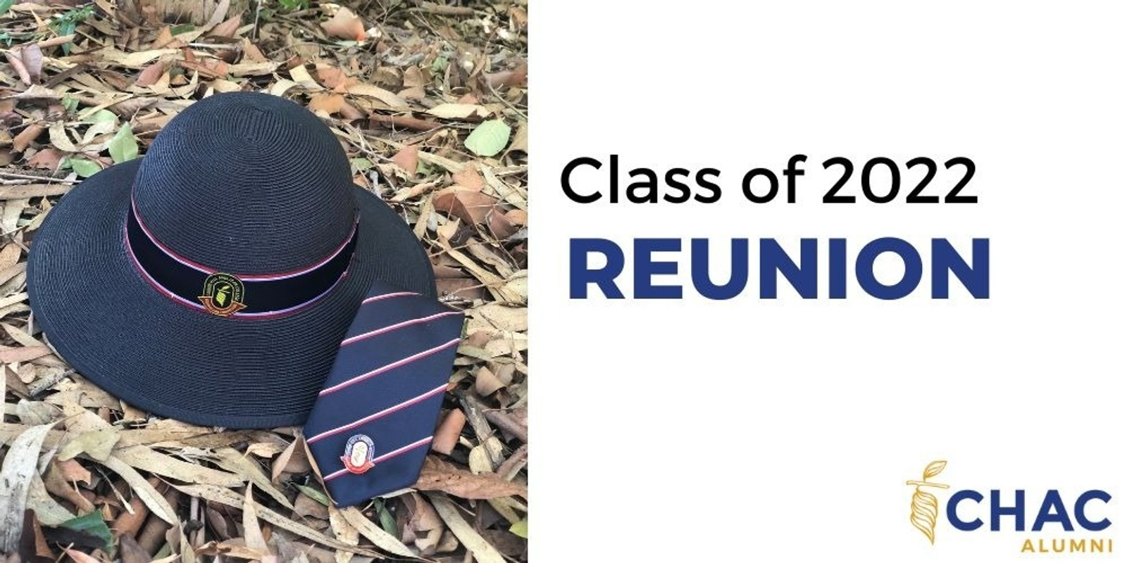 Banner image for Class of 2022 - 1 Year Reunion