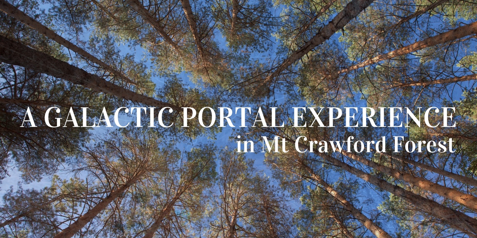 Banner image for A GALACTIC PORTAL EXPERIENCE in Mt Crawford Forest.