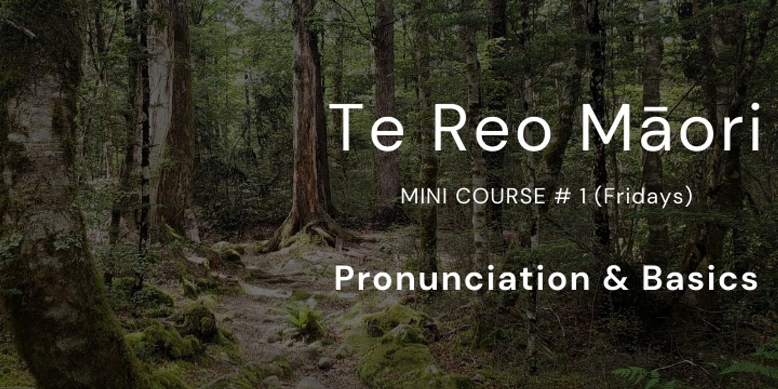 Banner image for Te Reo Māori Mini Course #1 