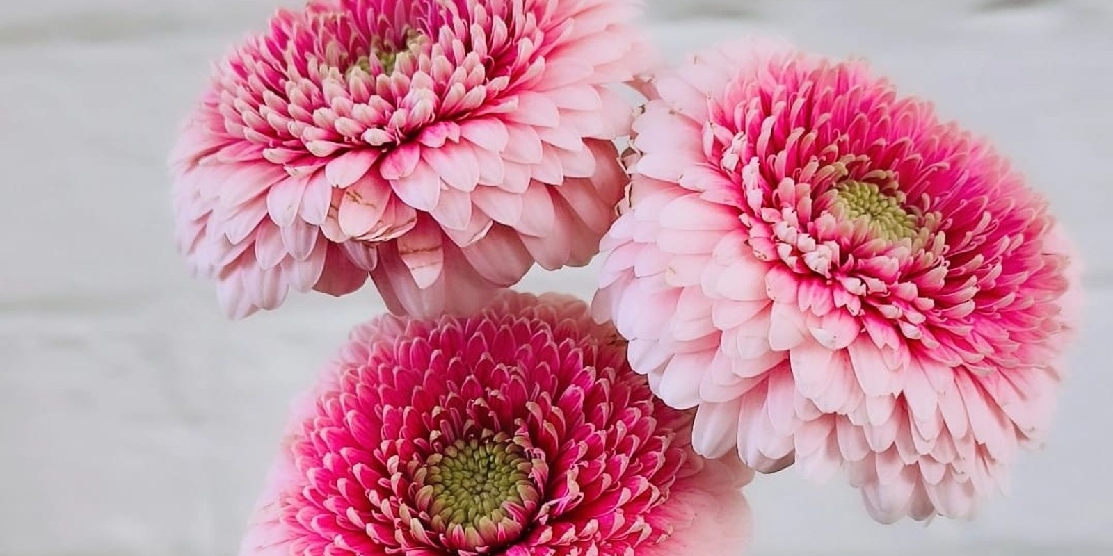 Banner image for Sip and Create Build A Bouquet to celebrate Mother's Day - Westfield Tuggerah 
