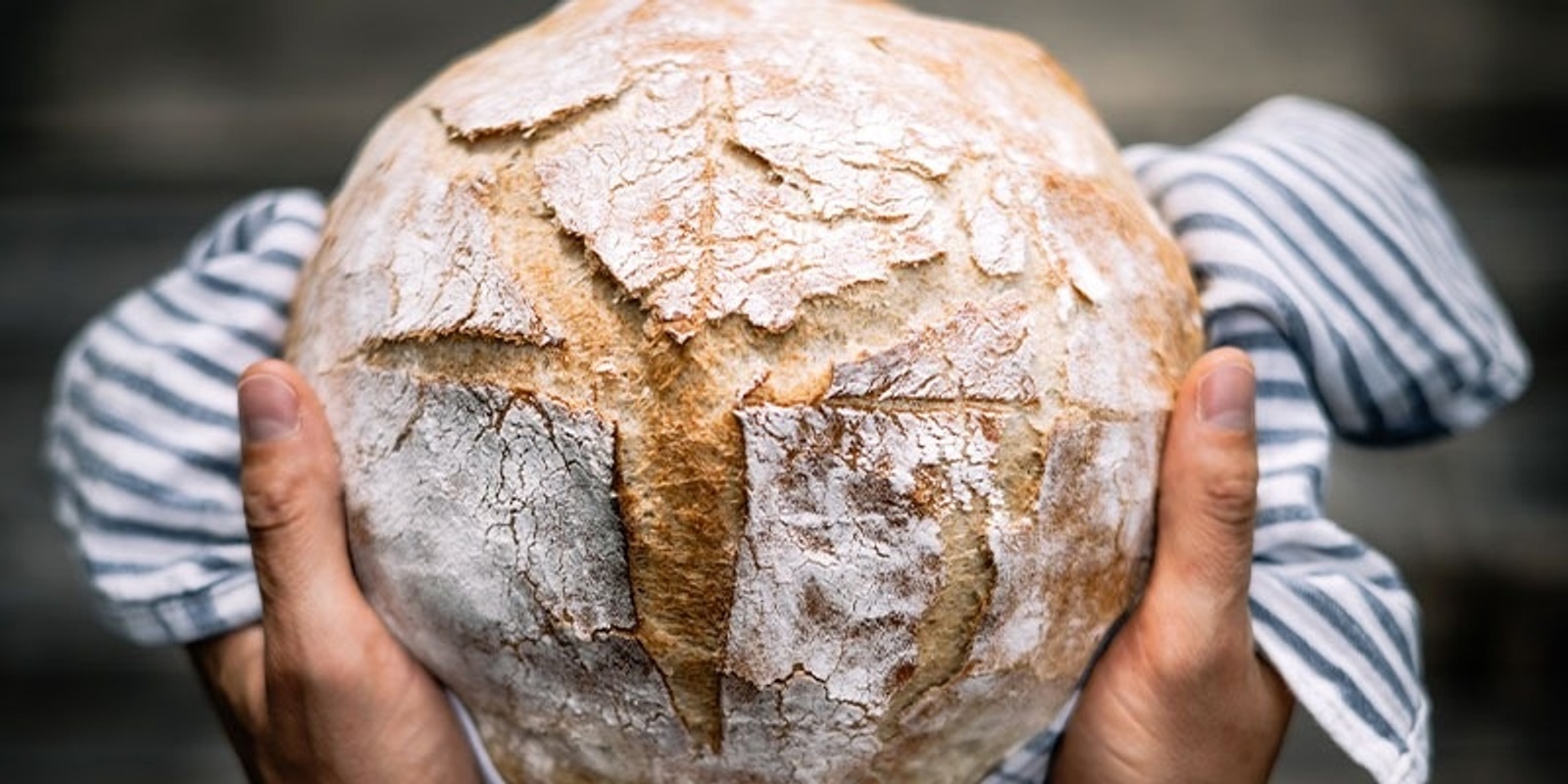 Banner image for Sourdough Bread Baking