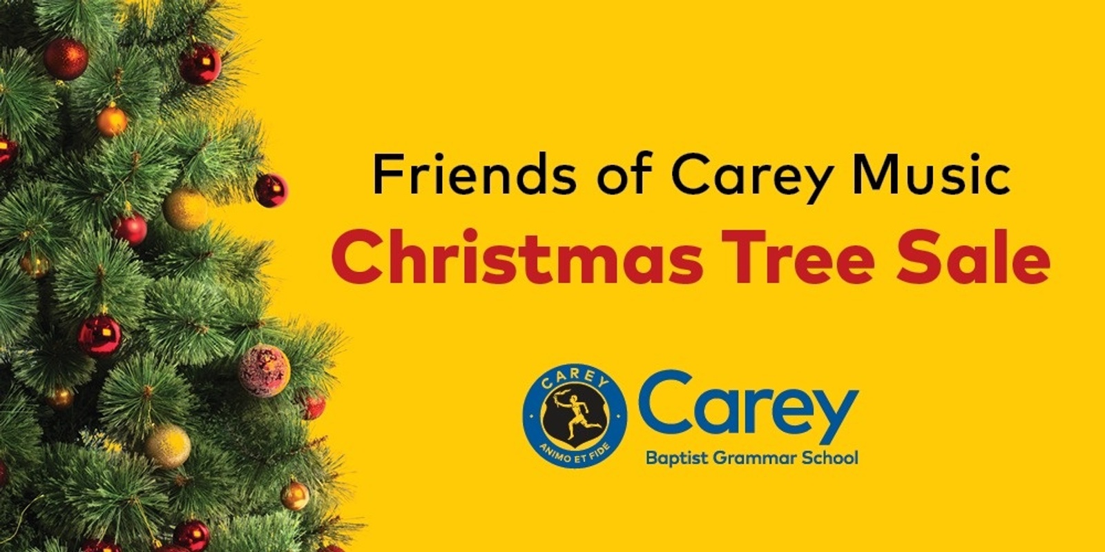 Banner image for 2024 Christmas Tree Sale  Friends of Carey Music