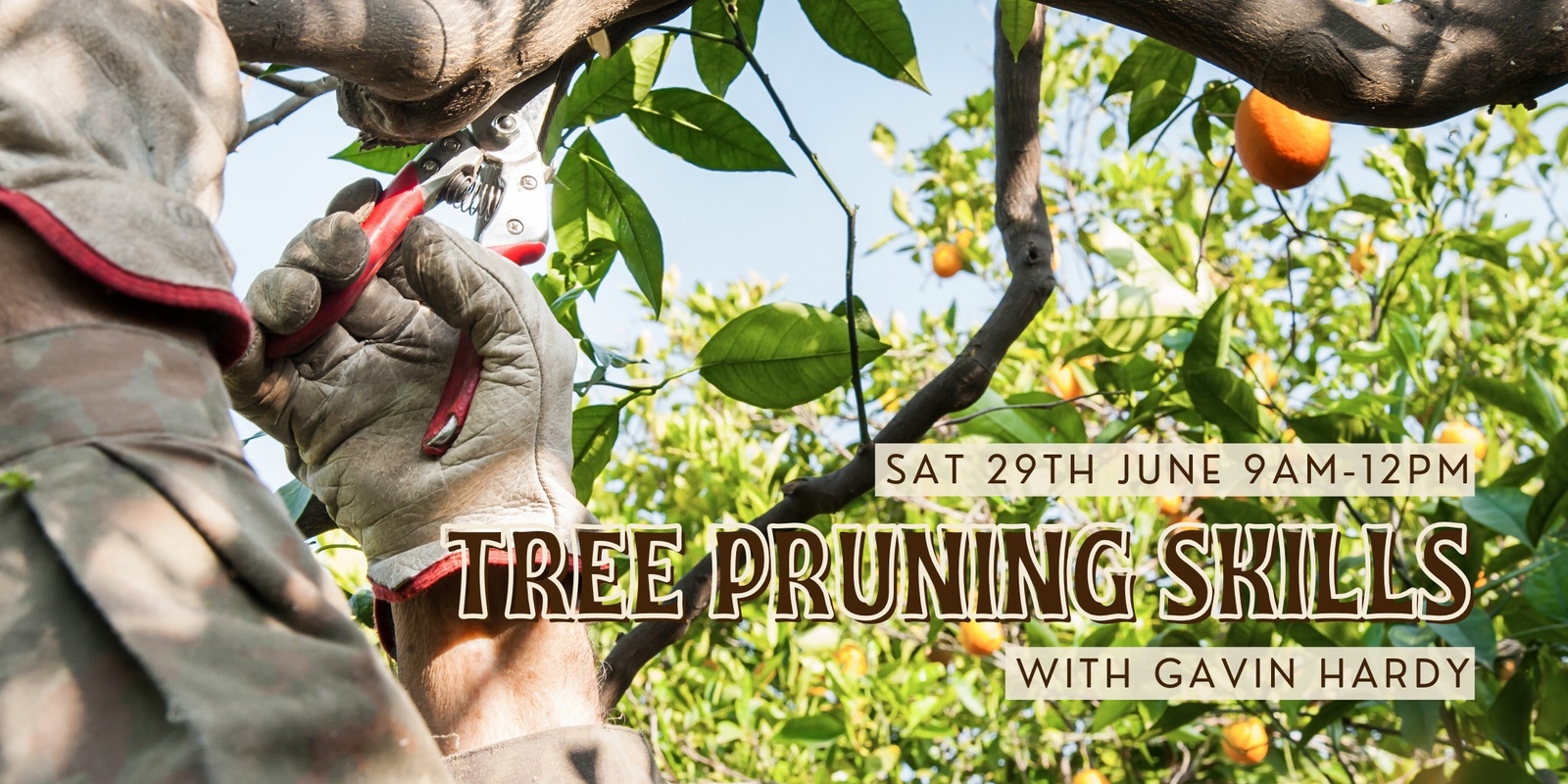 Banner image for Tree pruning skills with Gavin Hardy