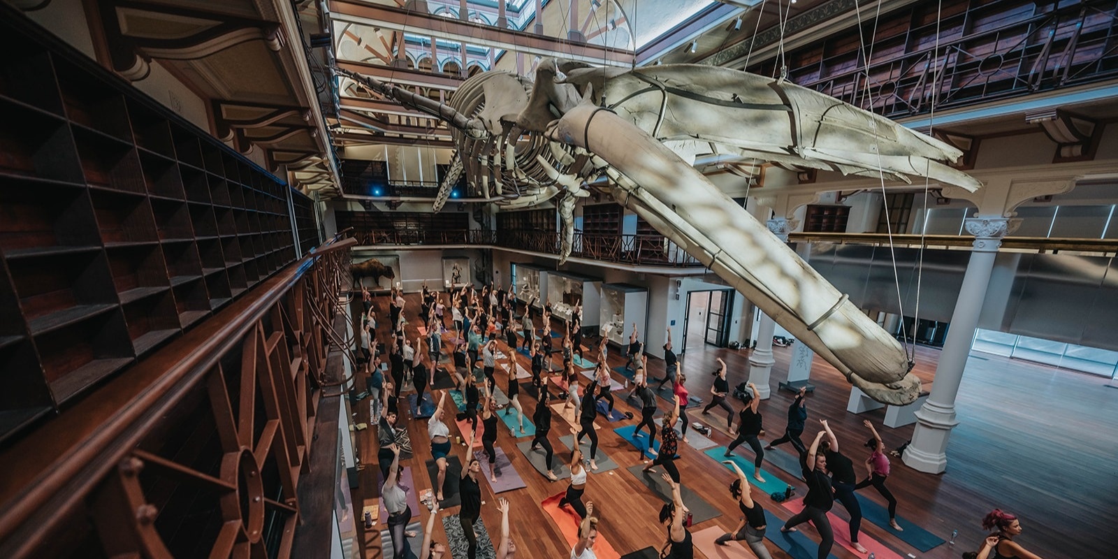 Banner image for Yoga At The Museum Sunday May 19th 2024