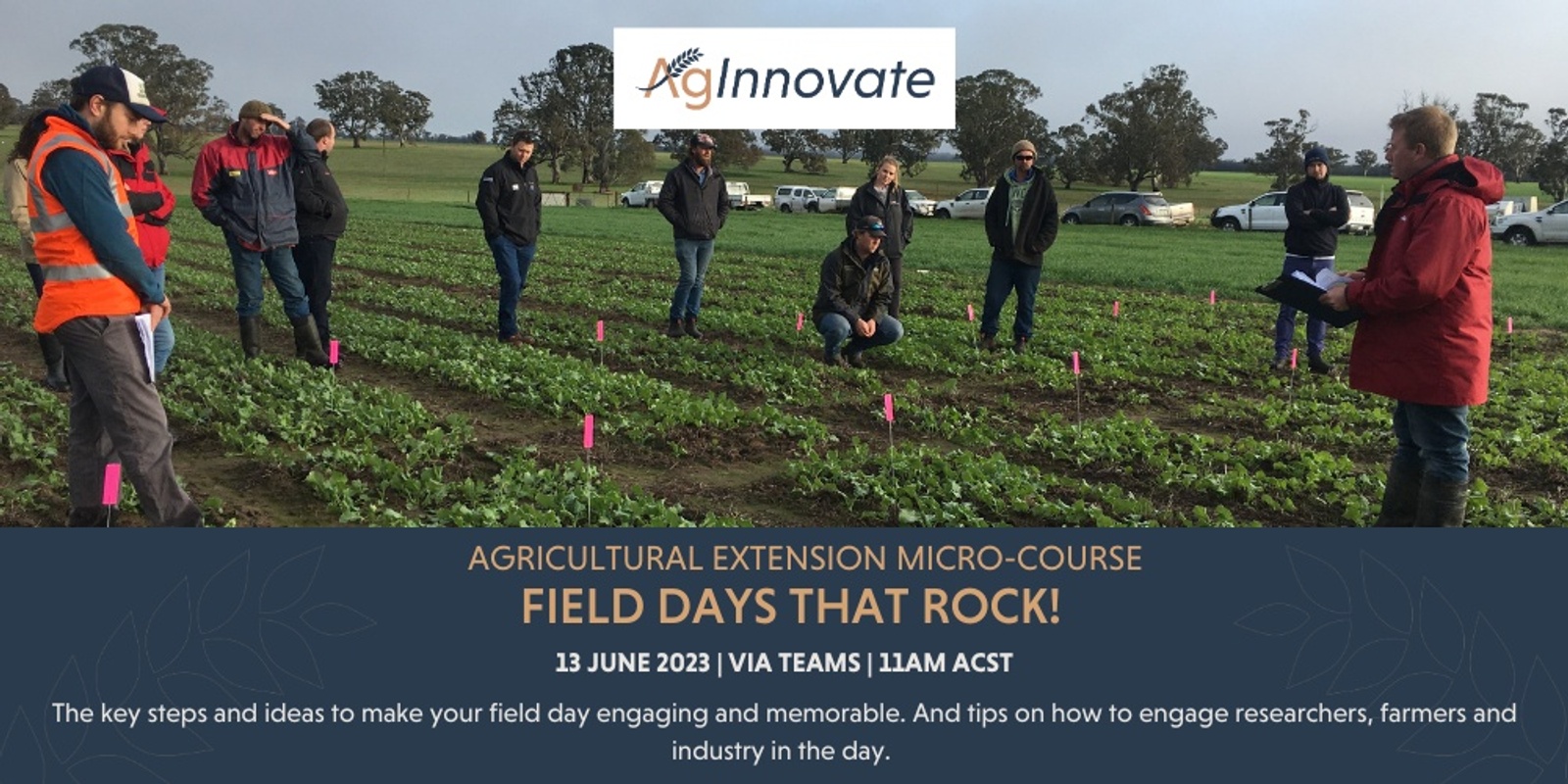 Banner image for Field days that rock! | Online Micro-Course Workshops