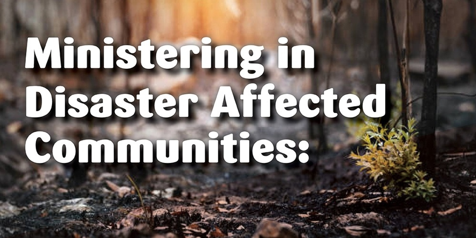 Banner image for **POSTPONED: Ministering in disaster affected communities - online course