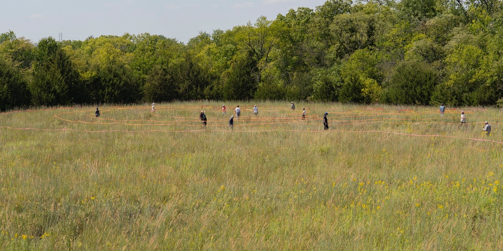 Banner image for Mindful Walk at "here-ing"