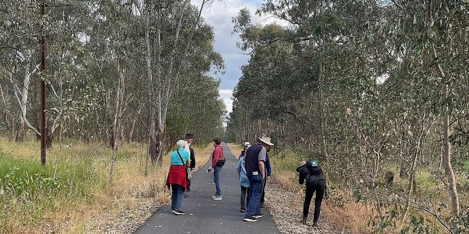 Banner image for A Slow Nature Walk on the Wodonga Rail Trail with Sue Brunskill & Karen Retra