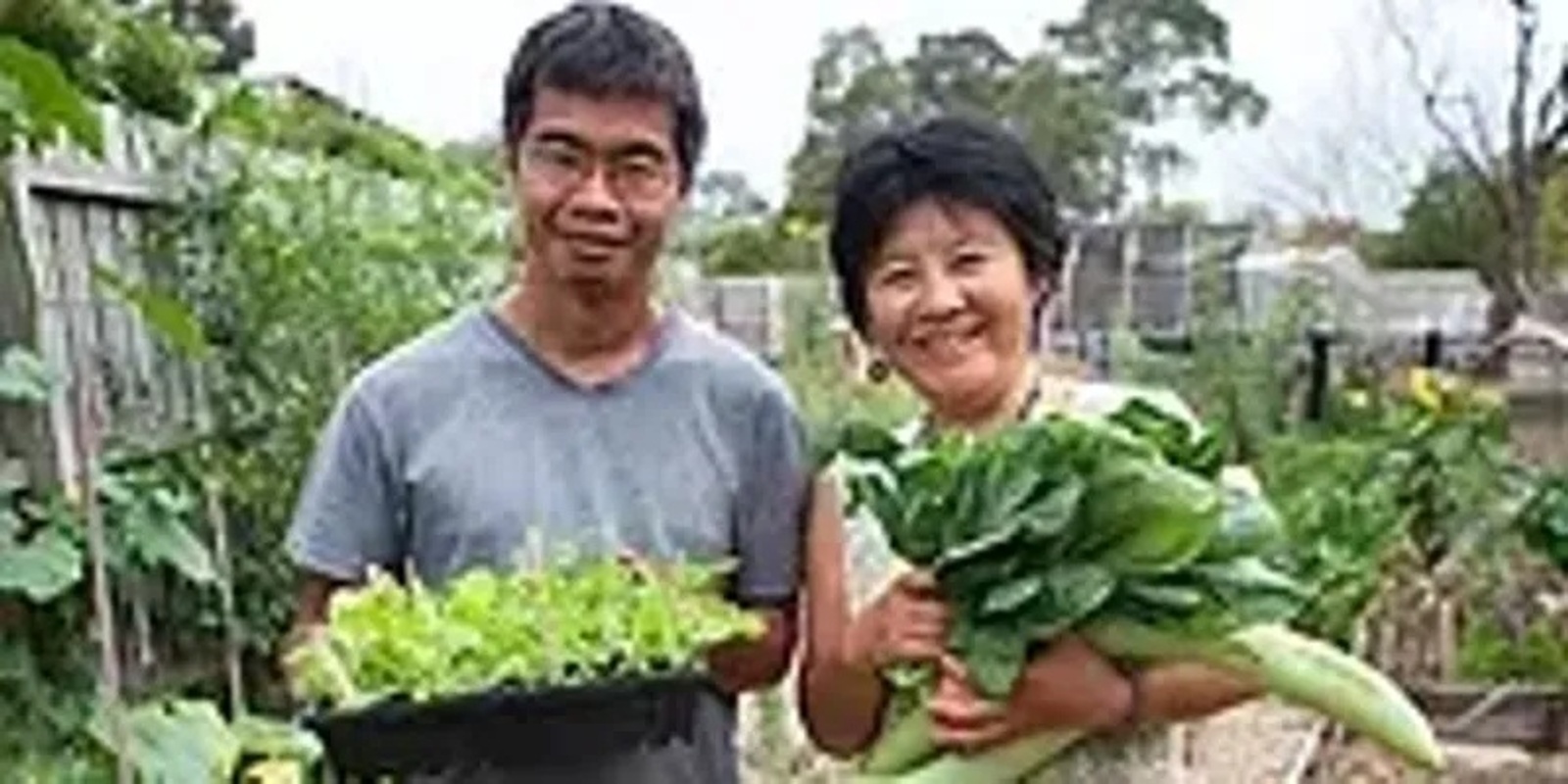 Banner image for How to grow and how to cook Spring/Summer Asian Vegetable Workshop