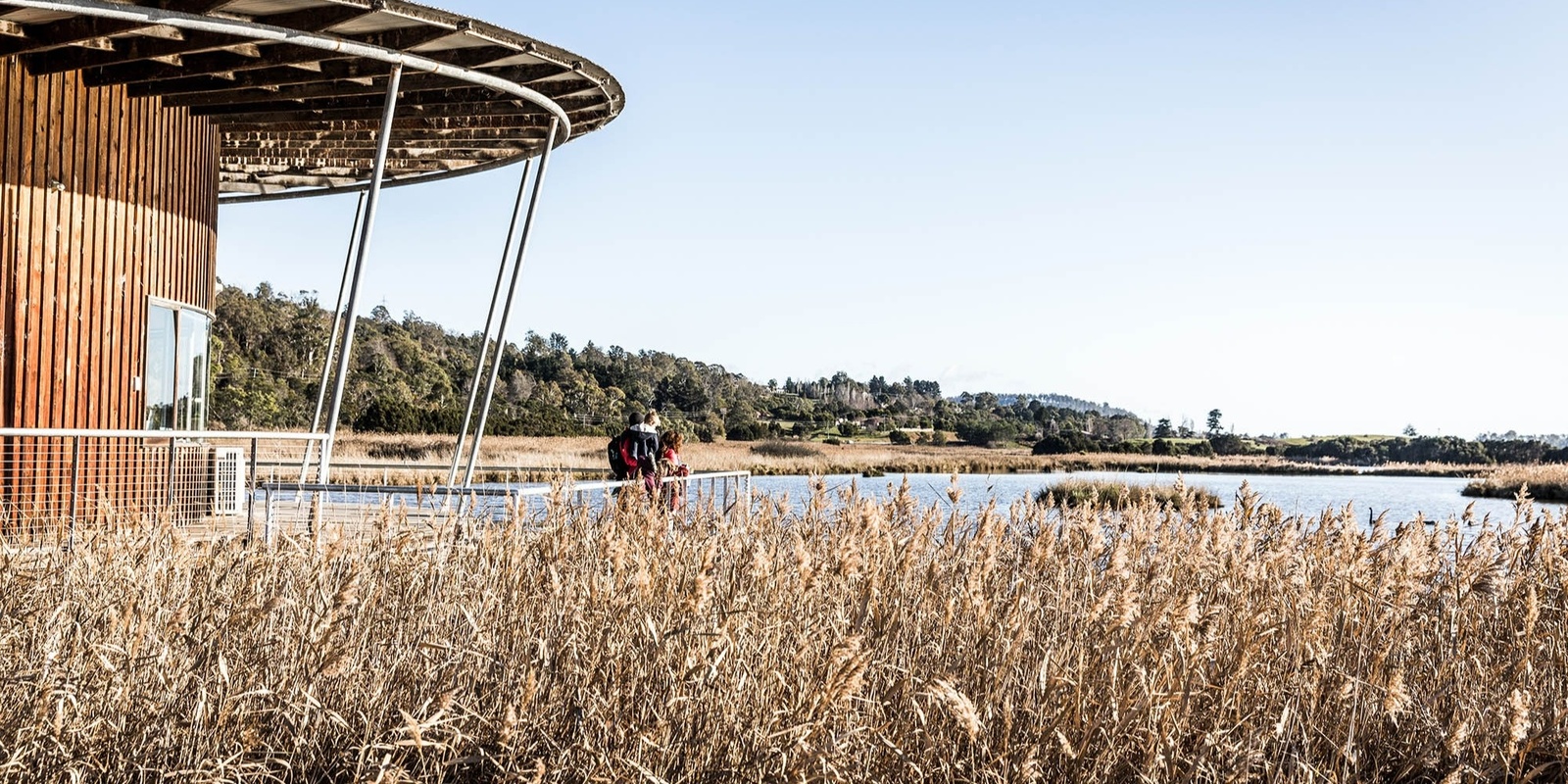 Banner image for Children's University at the Tamar Island Wetlands