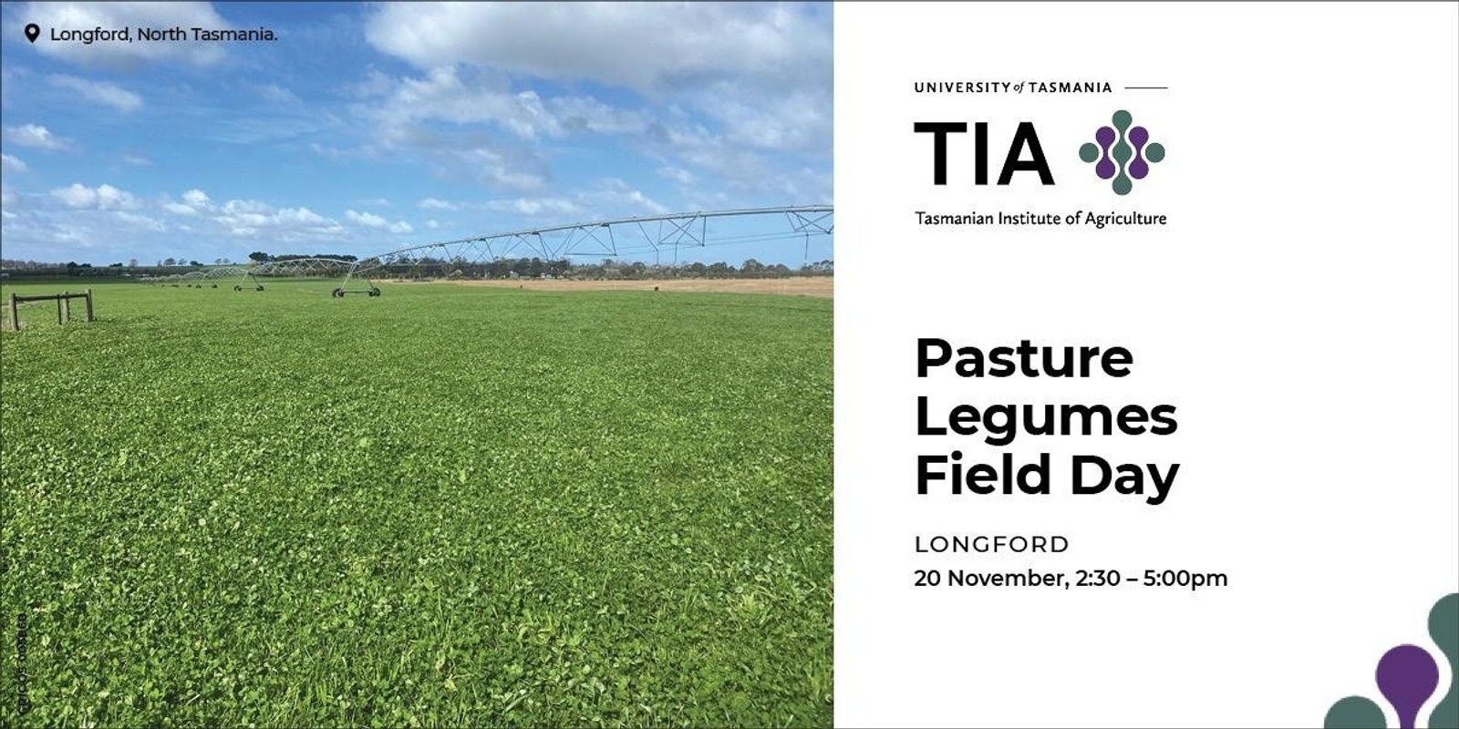 Banner image for Longford - Pasture Legumes Field Day