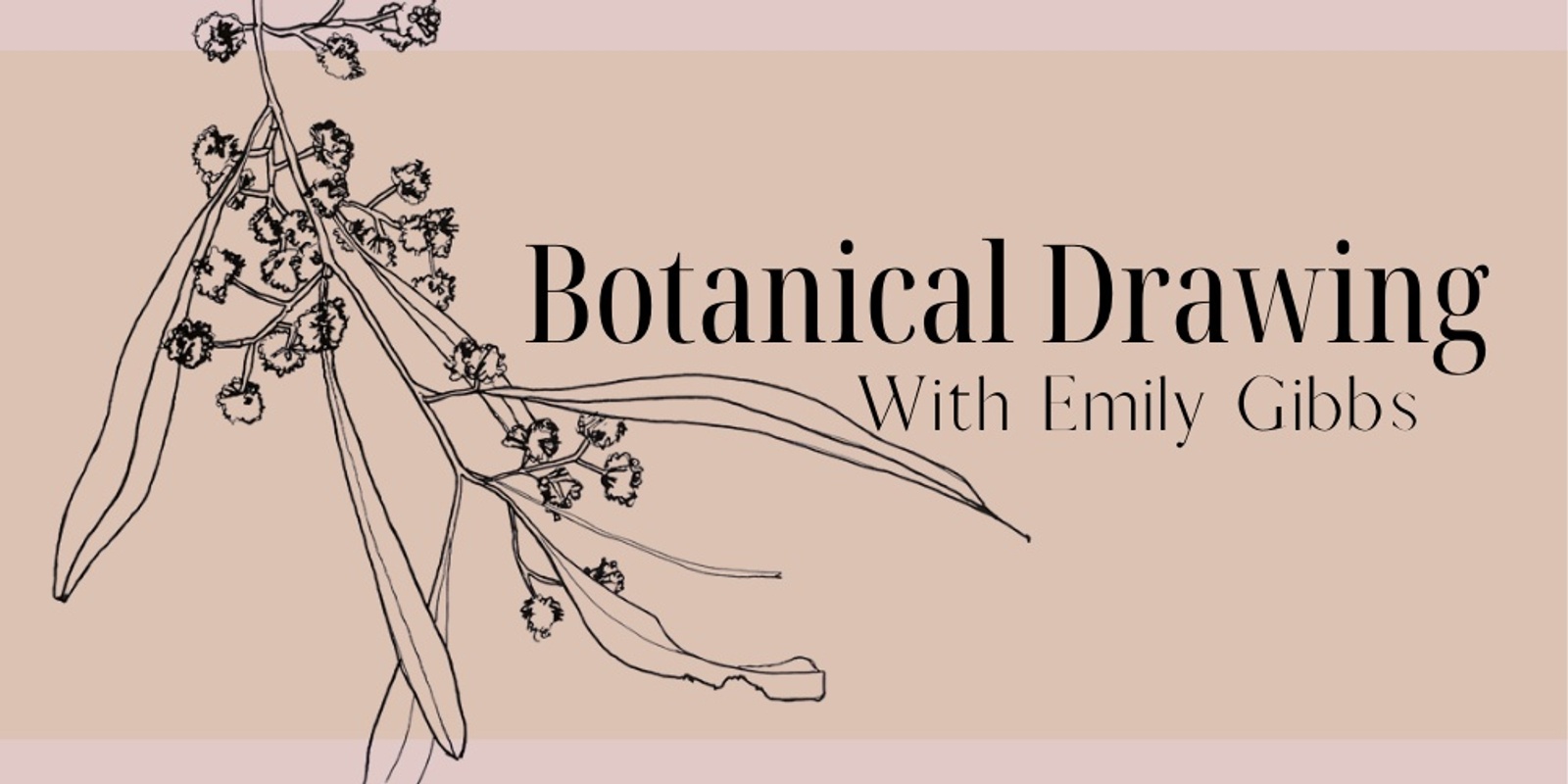 Banner image for Learn Botanical Drawing with Emily Gibbs