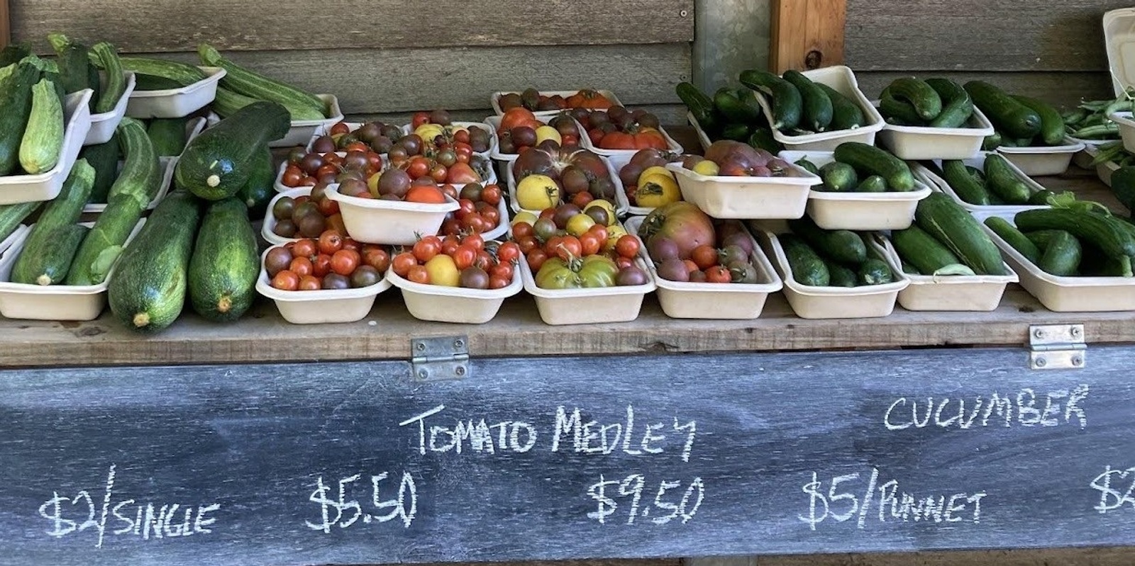 Banner image for Panel discussion - Local food systems and the people who create them