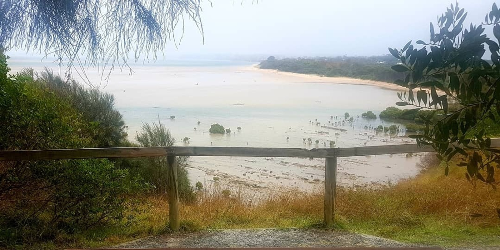 Banner image for Explore Screw Creek Estuary!