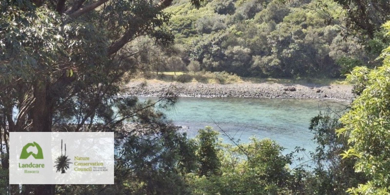 Banner image for Picnic for Nature - Bombo Headland