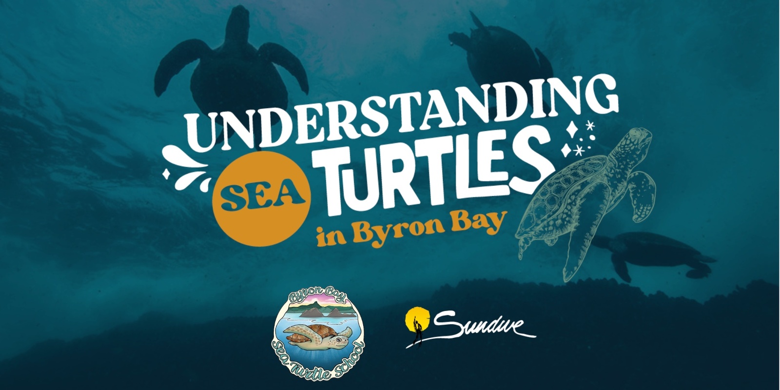 Banner image for Understanding Sea Turtles - Byron Bay Sea Turtle School
