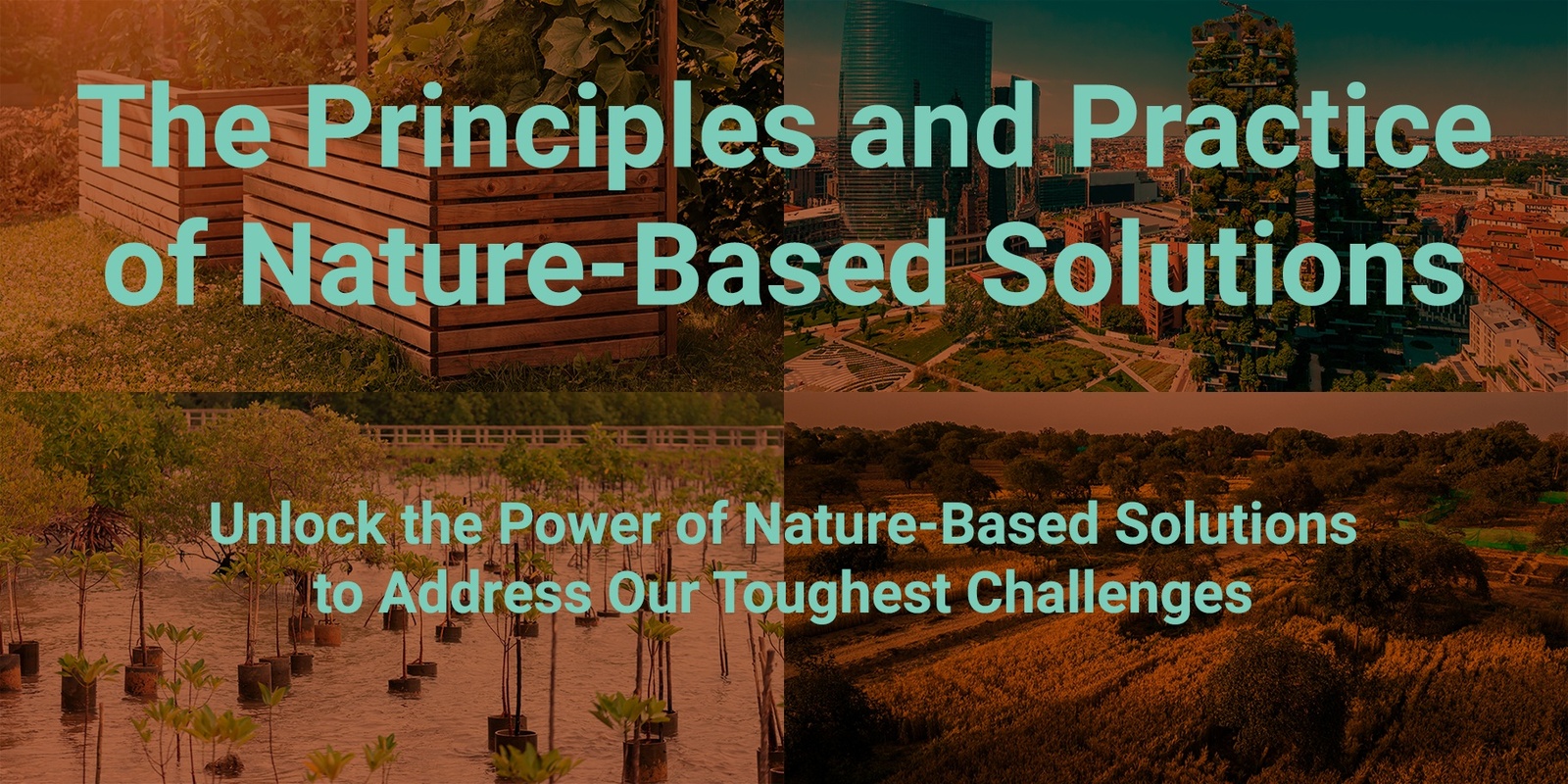 Banner image for The Principles and Practice of Nature-Based Solutions