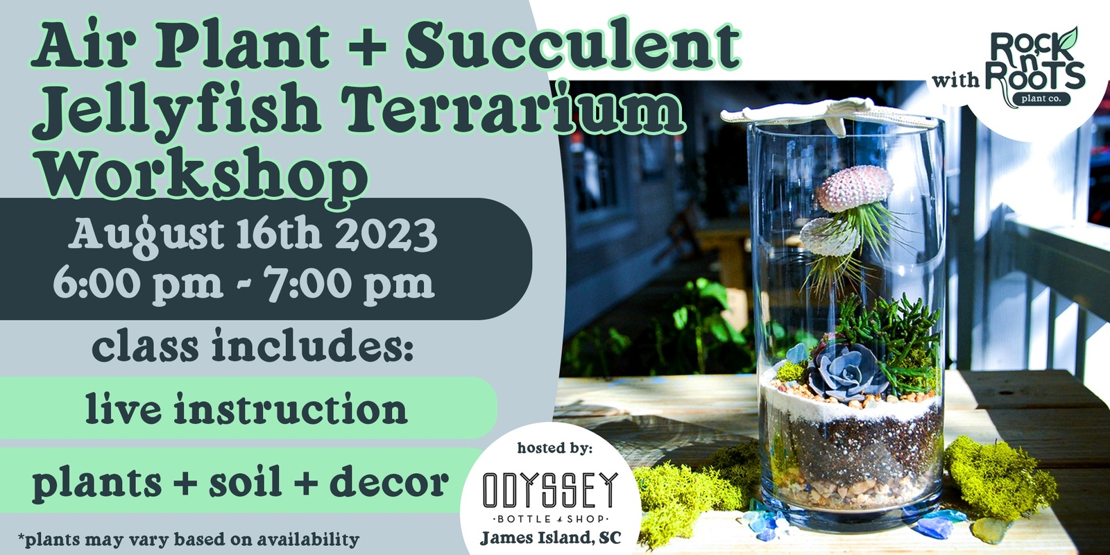 Banner image for Air Plant + Succulent Jellyfish Terrarium Workshop at Odyssey Bottle Shop (James Island, SC)