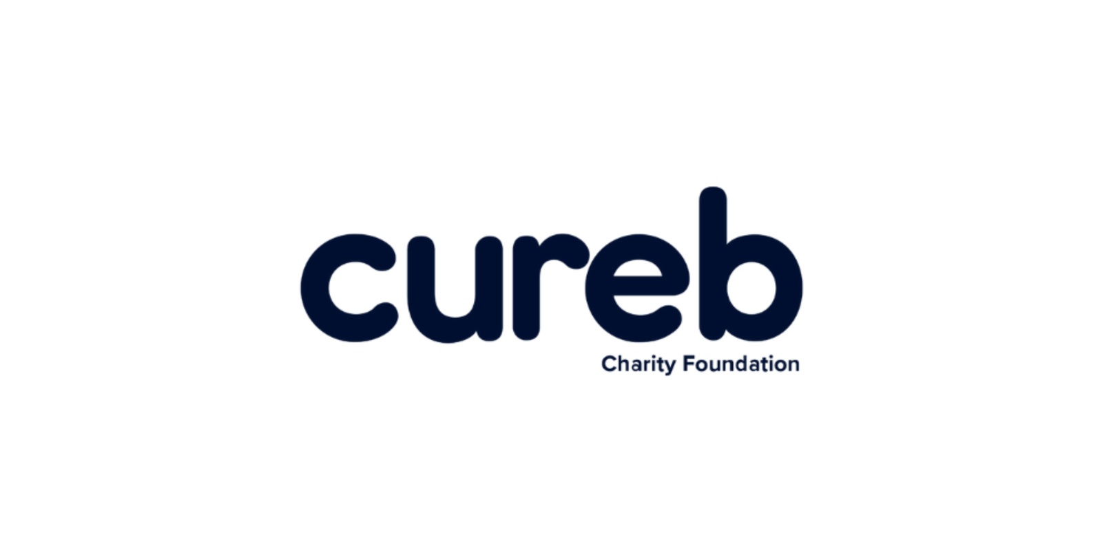 Cure EB Charity Foundation's banner