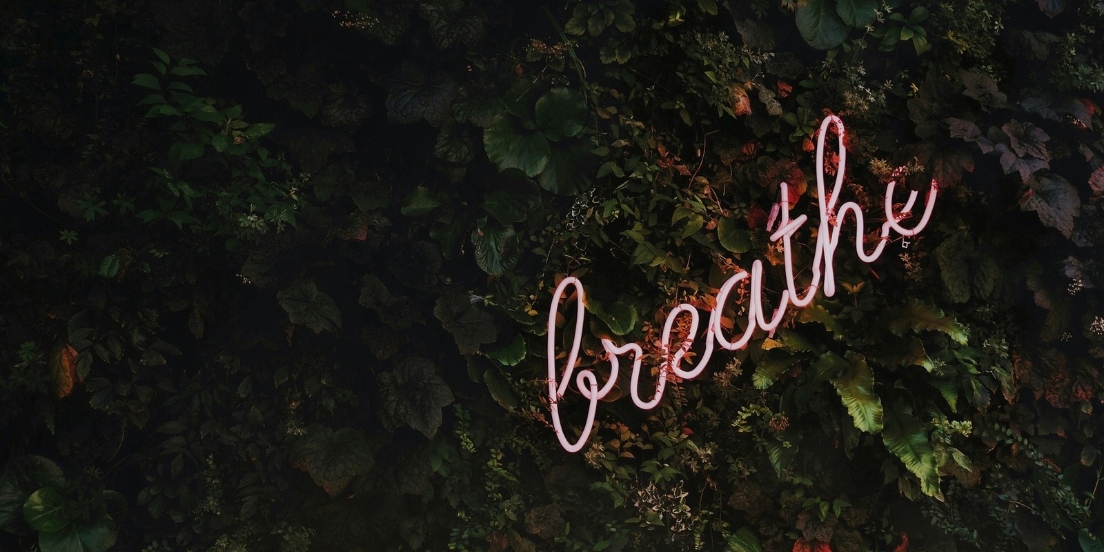 Banner image for Breathe Easy Workshop
