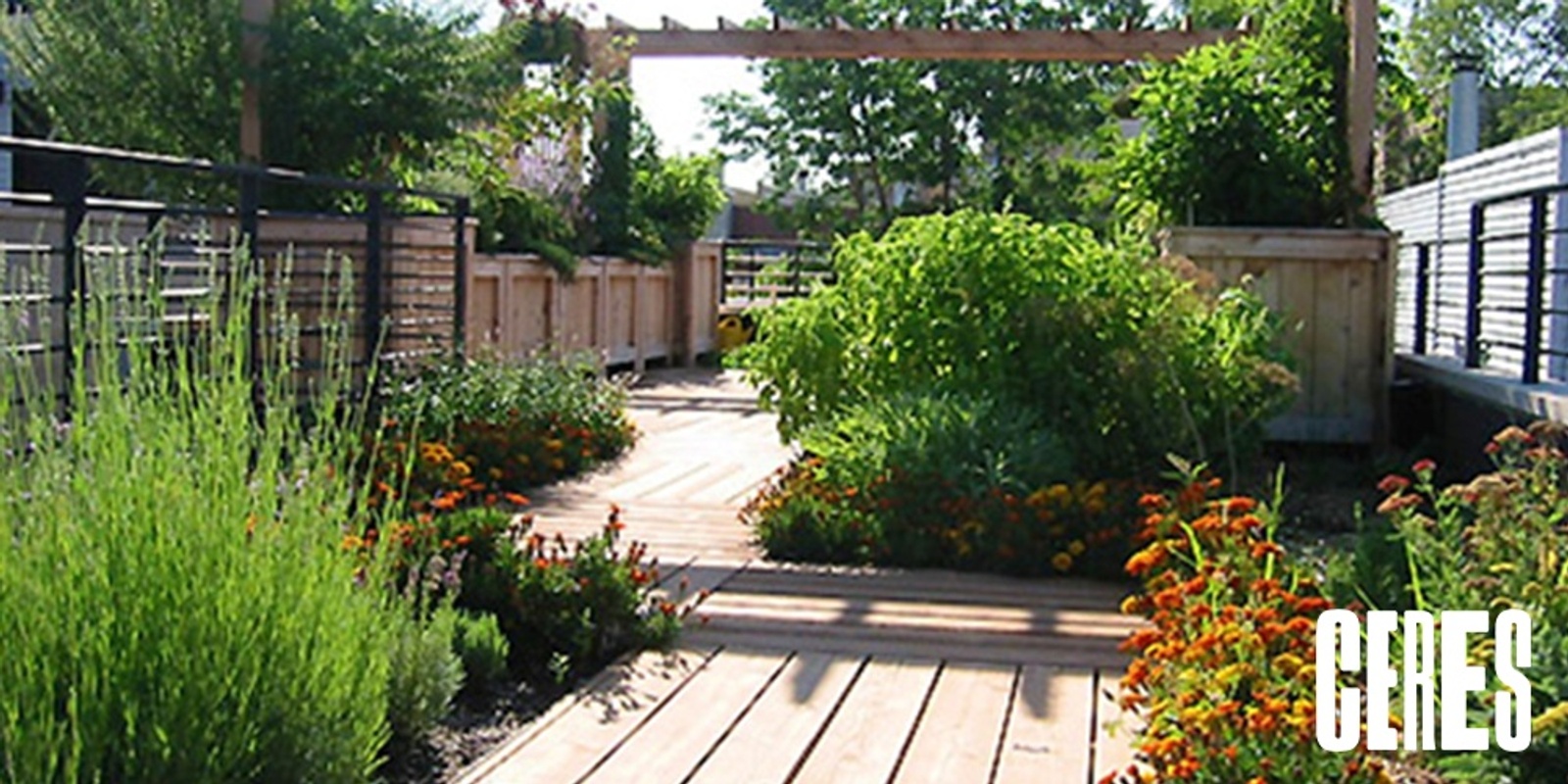 Banner image for Garden Design