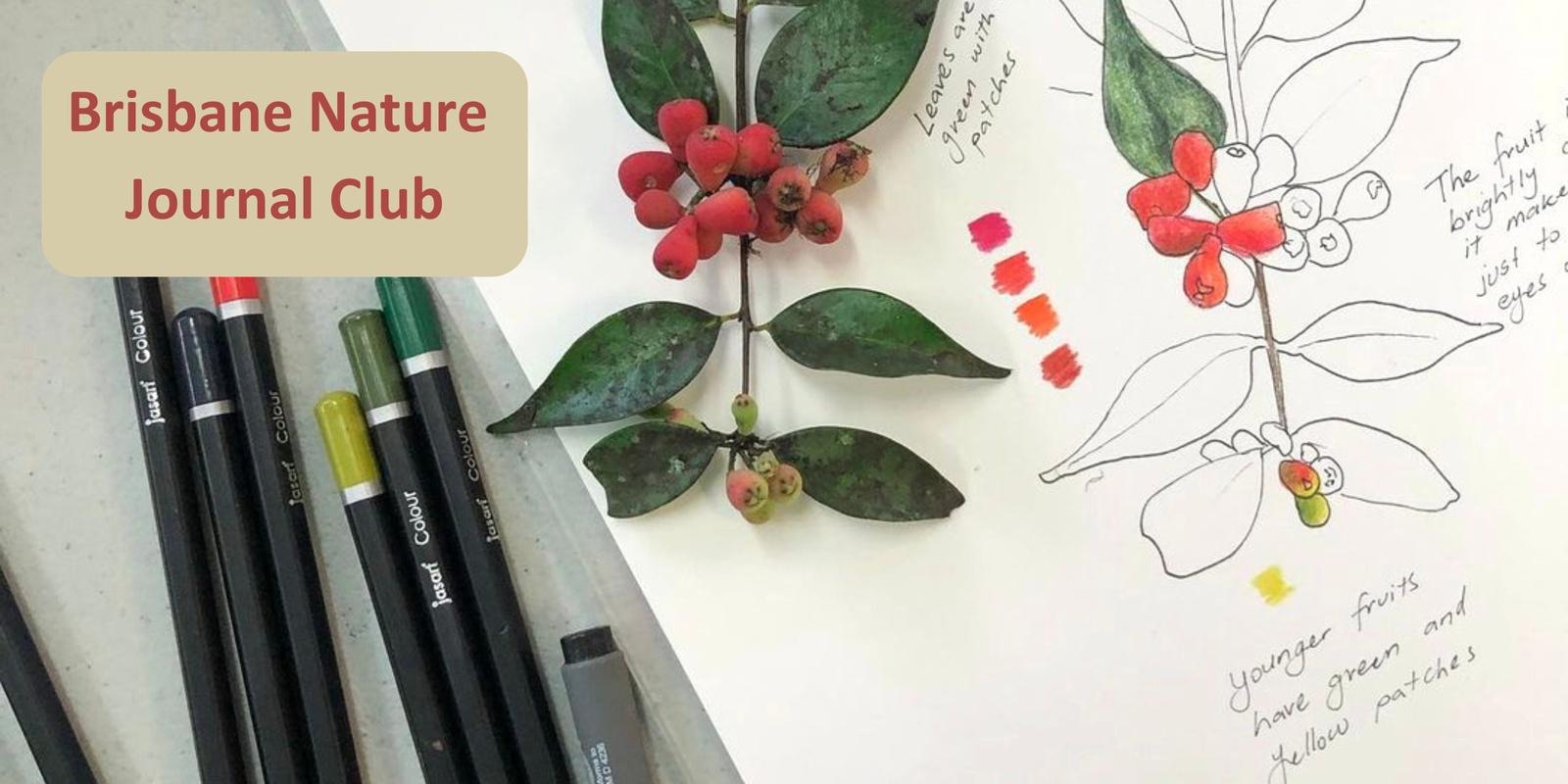 Banner image for Brisbane Nature Journal Club - September Meetup