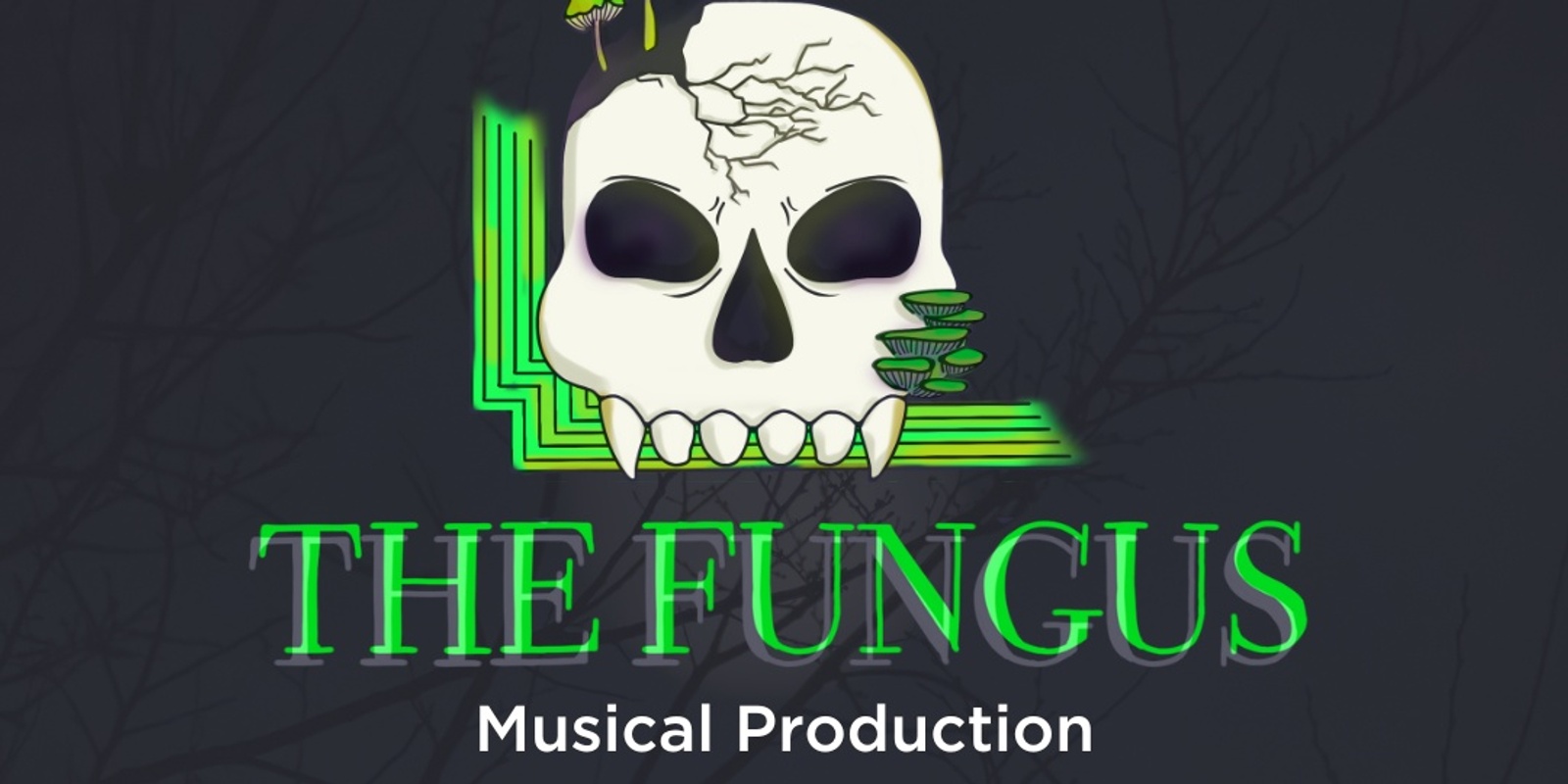 Banner image for The Fungus Post Show Screening