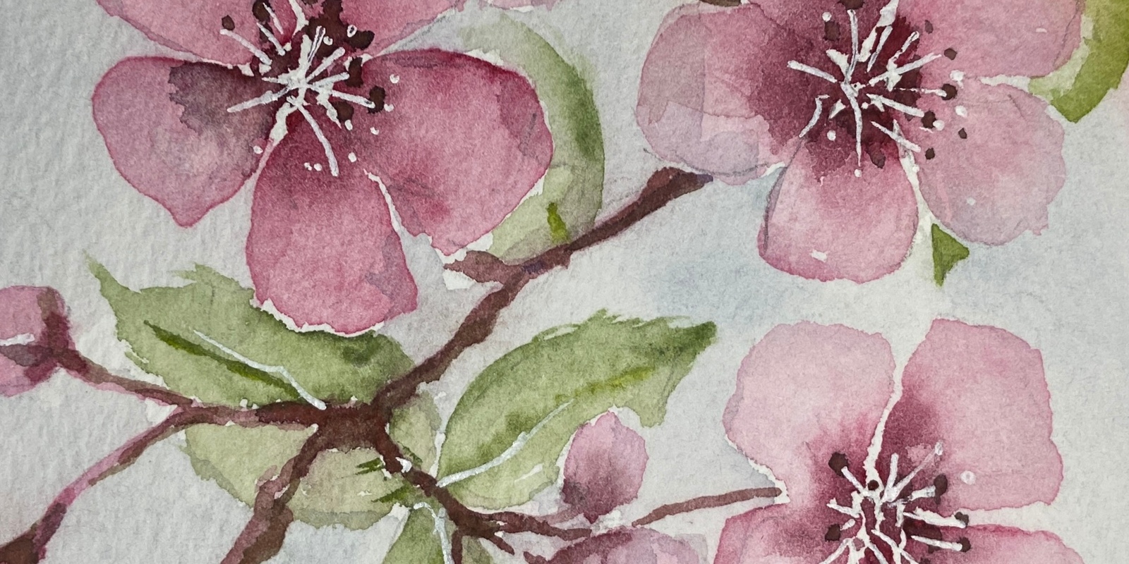 Banner image for Watercolour Flowers