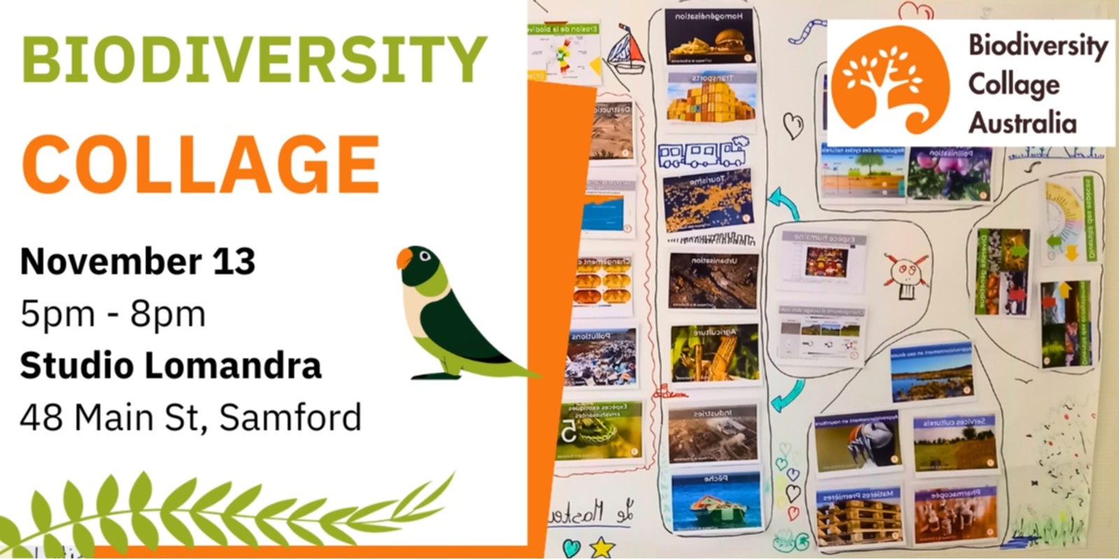 Banner image for Biodiversity Collage at Studio Lomandra, Samford