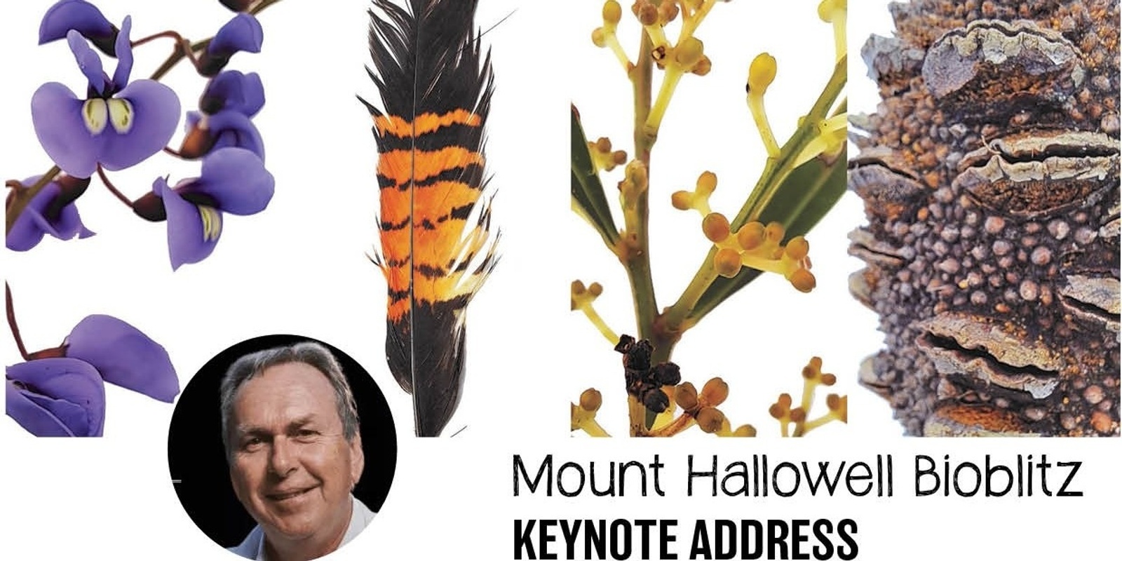 Banner image for Mount Hallowell Bioblitz keynote address-  Prof Stephen Hopper 