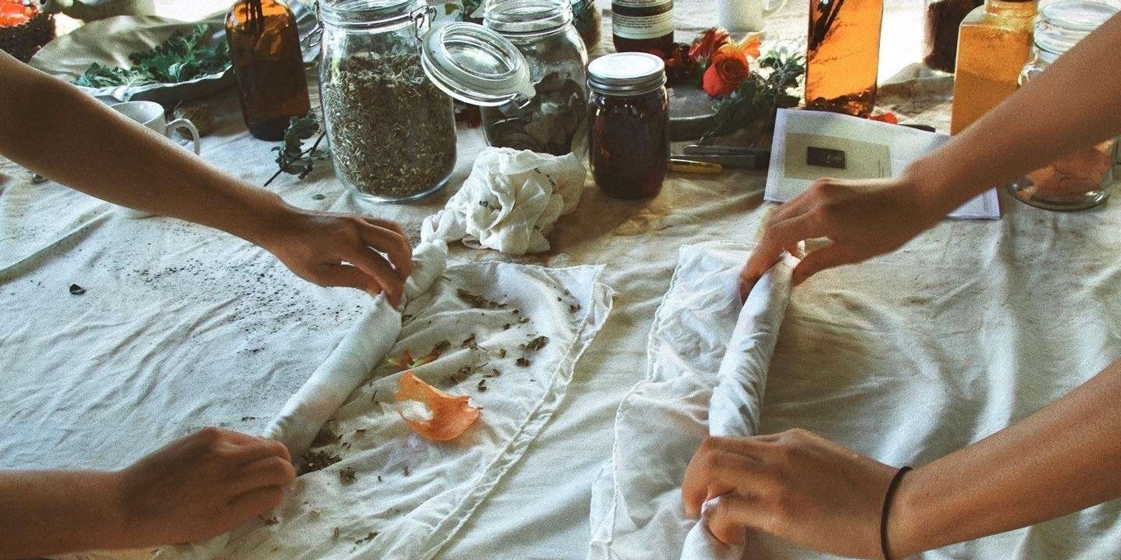 Banner image for NAIDOC Week 2023: Eco-dyeing and bush tucker workshop - morning session - FINAL RELEASE