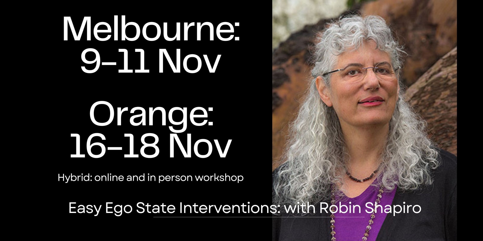 Banner image for Easy Ego State Interventions with Robin Shapiro
