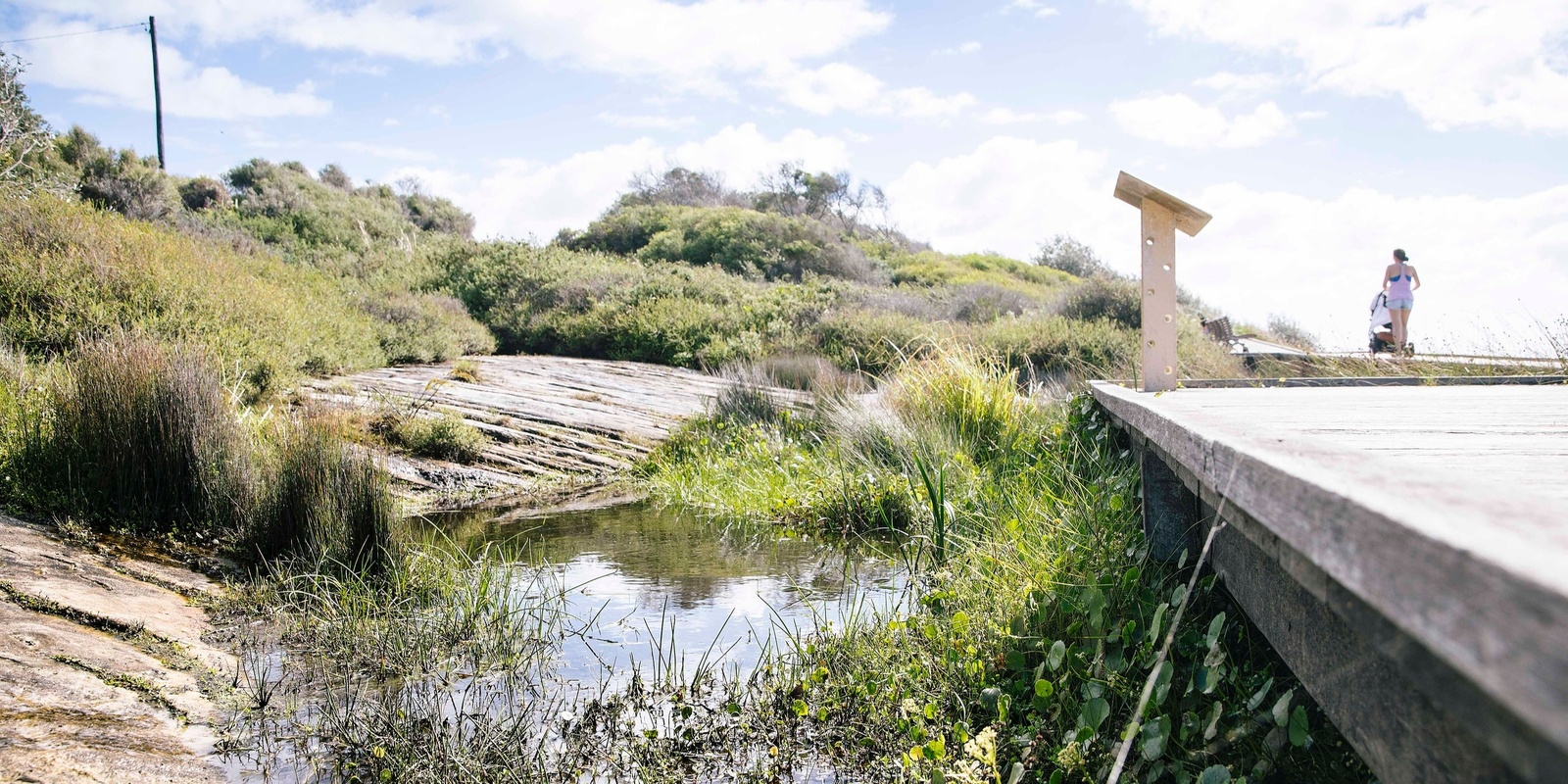 Banner image for Coogee Coastal tour with Bruce Thom 